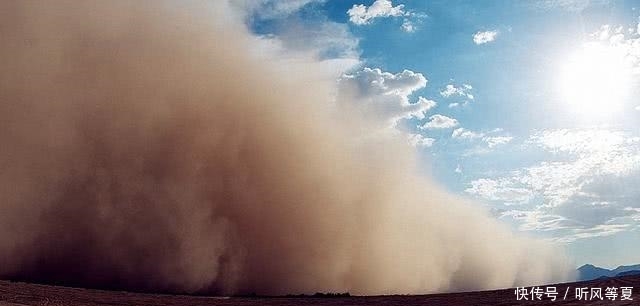  中国|中国治沙30年，在沙漠种下10亿棵树，如今向沙漠伸手“要钱