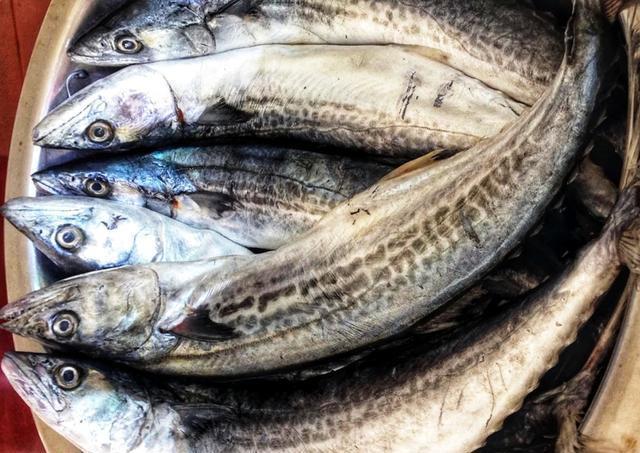  [好坏]海鱼看起来都差不多，该如何分好坏谨记4技巧避坑，鱼贩行家！