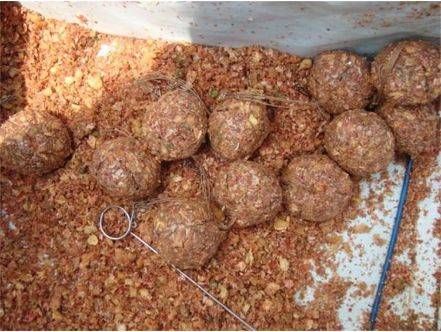  「便携」野钓诱鱼窝料这样打，简单便携效果好！