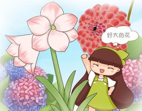  #荷花仙人球#6种大型花，花苞直径20公分，摆家里太大气