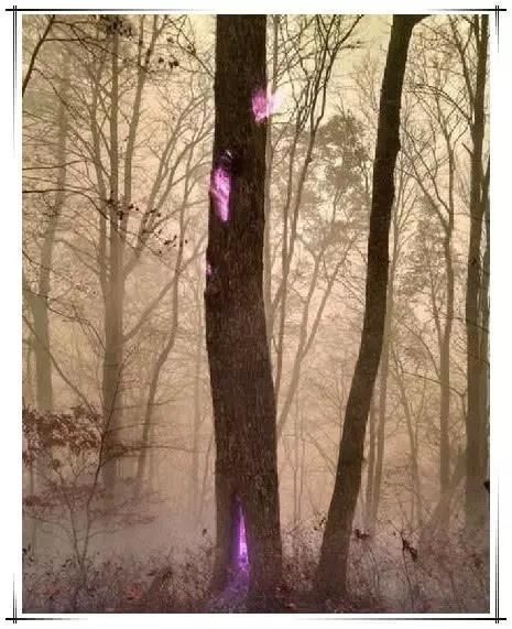 震撼:大自然才是最厉害的PS大师,沙漠与水的碰撞,飞机下巨大漩涡