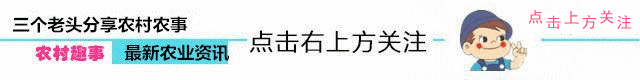  「留意」再过半个月，农村早已被叫停的3件事，又迎来高发期，农