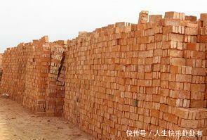 专家：禁止使用红砖是对的，农民：宁愿被罚款，也要用红砖!