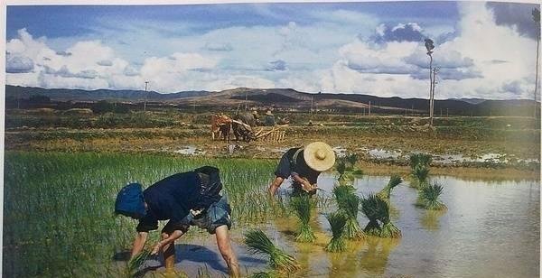  镜头|美国飞虎队镜头下1945年的中国农村