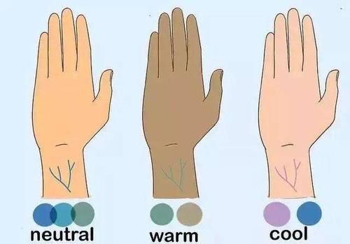  『越多越好』口红不是囤越多越好，学会根据肤色选色号，只买一只也能美翻天