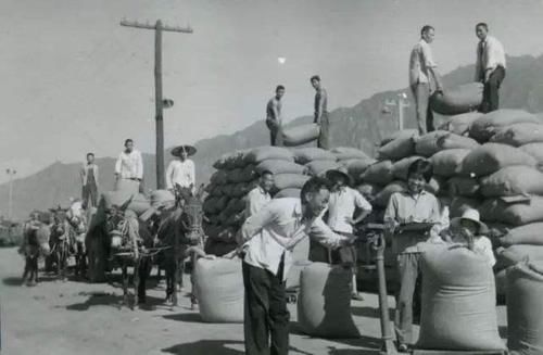  【这件】对农村50、60后老人来说，最愁的不是养老，这件事才是