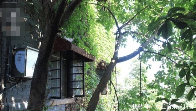 重庆人为外地游客错峰出行，游客却说再也不来了，山城哪里丢了分