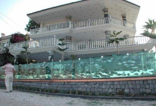 用水族箱做围墙的富商，才是真有钱人