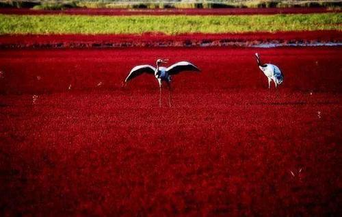 一旦去了这些地方，其他就都成了将就！