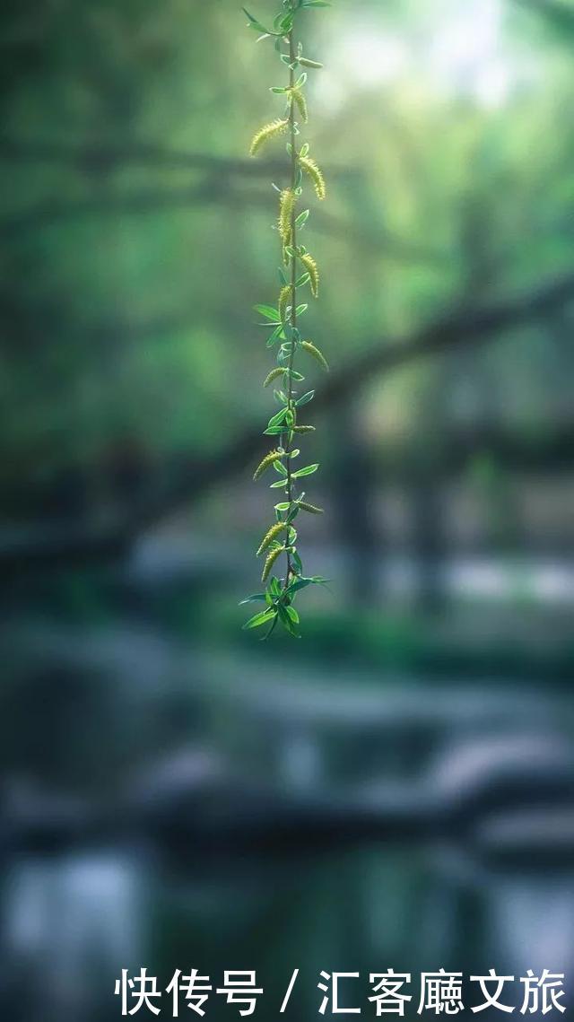 在这些地方的某个角落，遇见一抹春色，足以让你荡漾整个春天