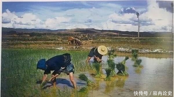 珍贵老照片：1945年 中国的农村