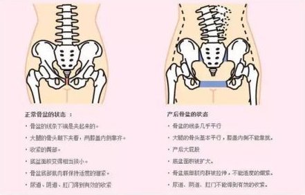 产后恢复中心的发展趋势与特点解析
