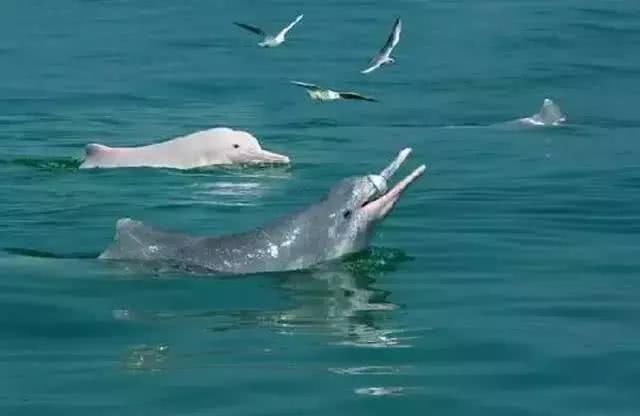 广西周末自驾游路线，一路惊喜，一路美景，体验夏天最美的样子！