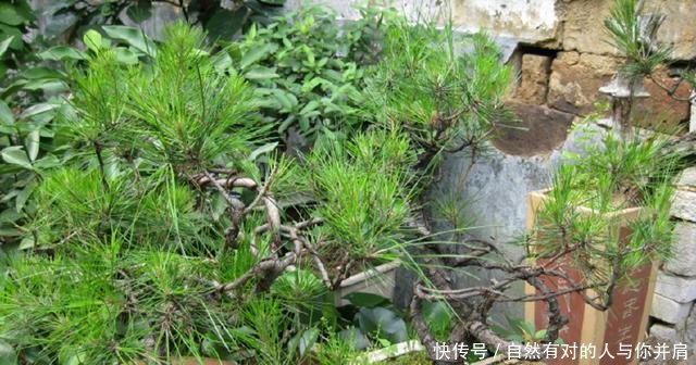 在农村，这种农民在“悄悄”挣大钱，很多人以为他们“不务正业”