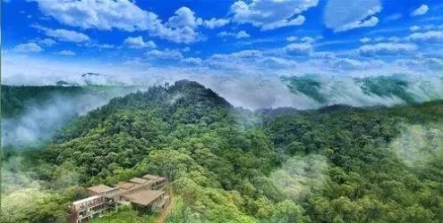 2019年最新免签名单｜中国国籍可免签去125个国家了