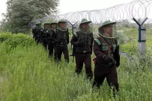 中国哪里的蚊子最猖獗听说这里是国内唯一没有蚊子的地方