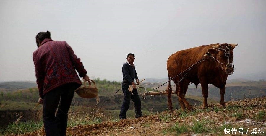 作为第一代农民工的60后，谁来给他们养老？专家给出4点良心建议