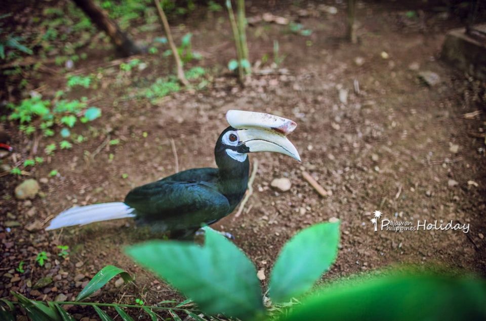 同是东南亚，这国家的旅游一直做不过泰国，网友:自己“作死”!