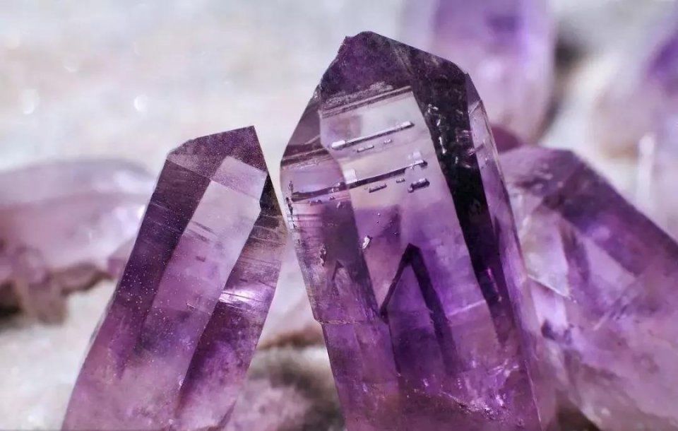 杨紫与朴信惠同框比美!一直被指颜值不高的她，这次靠珠宝逆袭?