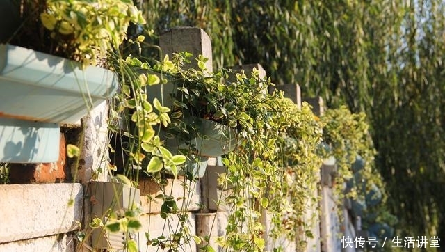 昆明有个“零差评”景区,历史底蕴深厚,最重要的是免费对外开放