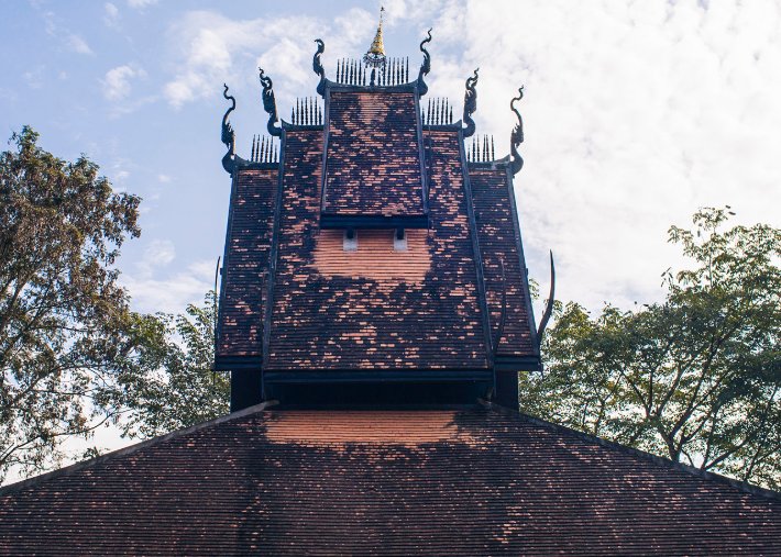 【标本】泰国最特殊的博物馆，陈列着各种动物标本，游客络绎不绝