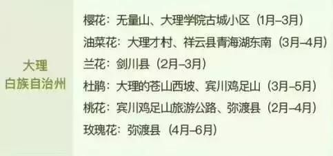 春季花开哪家强？云南16州市最美赏花点看过来！