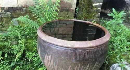 「水缸」中国人院子里最应该摆这样东西