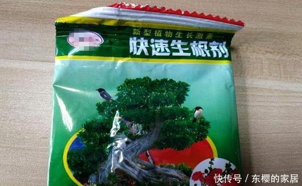 花草@养花先用生根粉,还是先用多菌灵?千万别陷入使用“误区”!