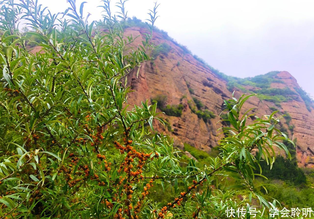 秋雨如烟,色若渥丹,爱死了这样的火石寨!