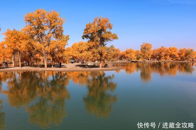 可能会错过国庆，今年额济纳的胡杨林最佳观赏期只有12天