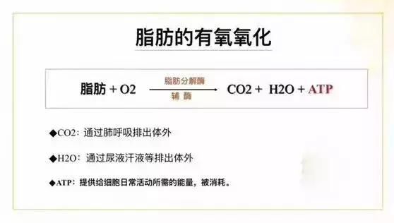 减肥药、减脂饼干、瘦瘦包最全大扒皮,希望中国女孩和这些说再见