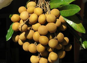 0721 早安茂名 长生生物疫苗再次刷爆朋友圈,“茂名十大文化名