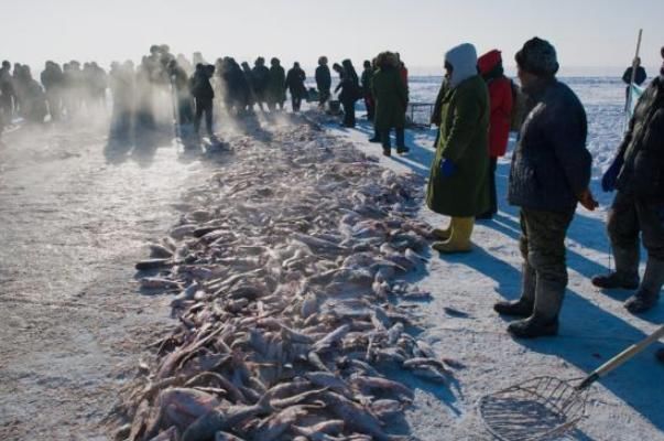 查干湖的鱼为何“越捞越多”？游客哀声怨道，渔民道出真情