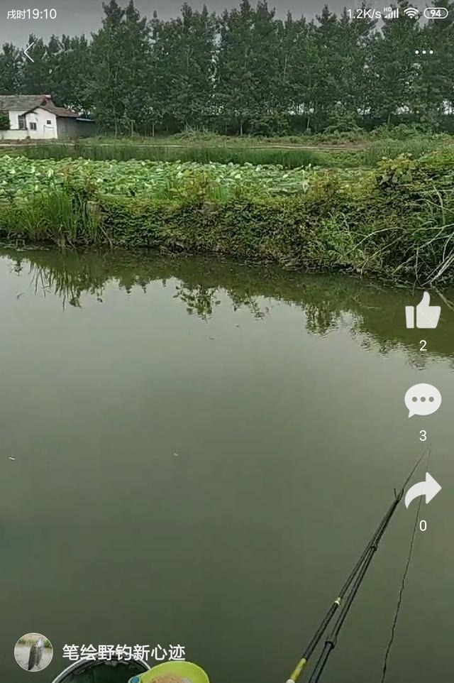 稀巧:正午口稀巧换点,又遇电网肆虐抢鱼忙