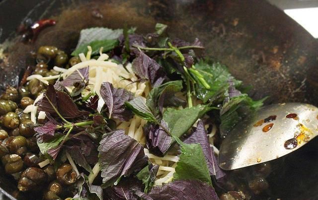  南方人|曾是田间杂草，现以60元一斤为出口名蔬菜，南方人尤其爱