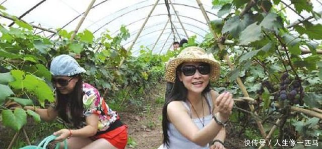 “不下手就晚了”！未来6年农村最新的赚钱手段，别说没告诉你！