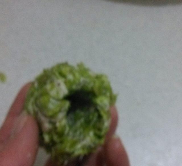  榆钱■榆钱窝窝头，怎能错过如此美味