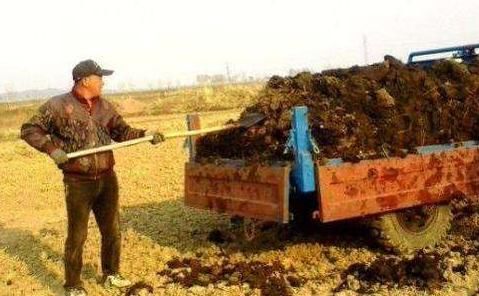  「好处」农家肥料给农作物和土地带来的好处是什么