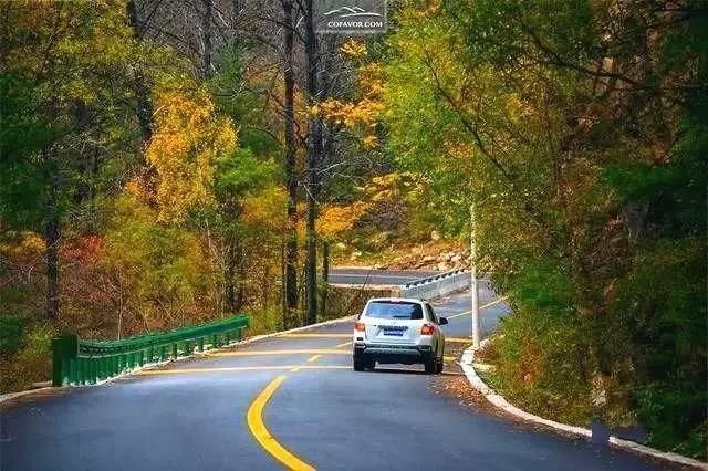 秦岭深藏敢与九寨沟媲美的地方！有条惊艳的自驾公路