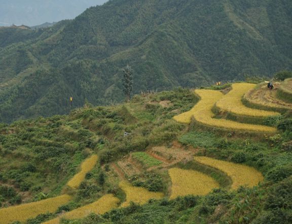 湖南最“低调”的古城，山水美景不输桂林，高铁直达却鲜为人知