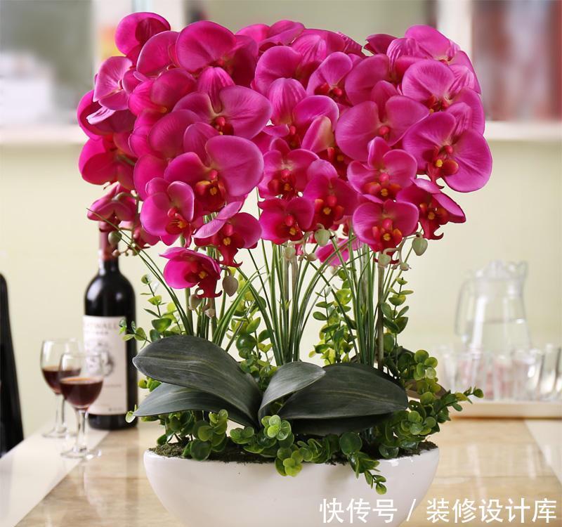  『艳丽』喜欢在家中养护花卉，就要选择花色艳丽多样，花期长的花卉养护
