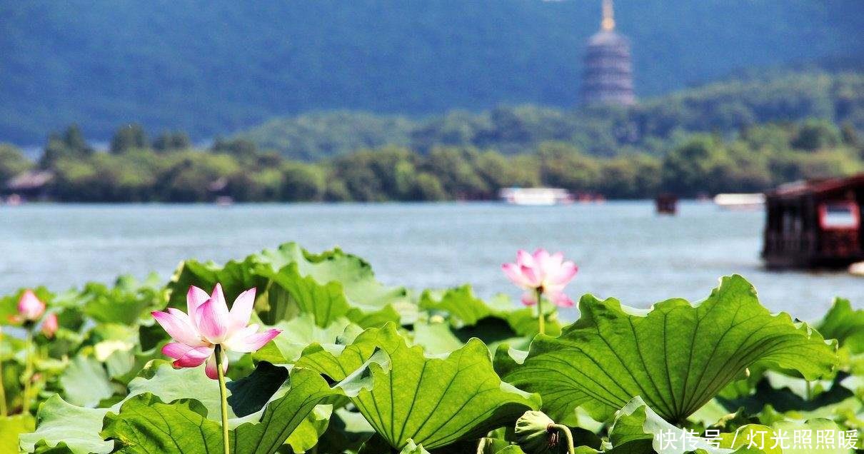  「城市」上海之外，谁能够成为长三角地区排第二位的城市南京杭州竞争强