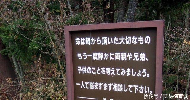 日本富士山暗藏“自杀名所” 50年来找到上千具尸体