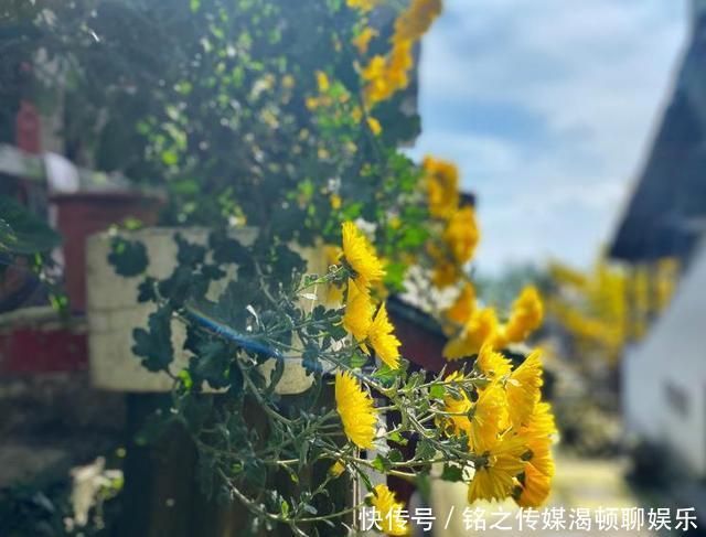 国内最“大气”景点,门票始终收取一元,宰客现象从未出现