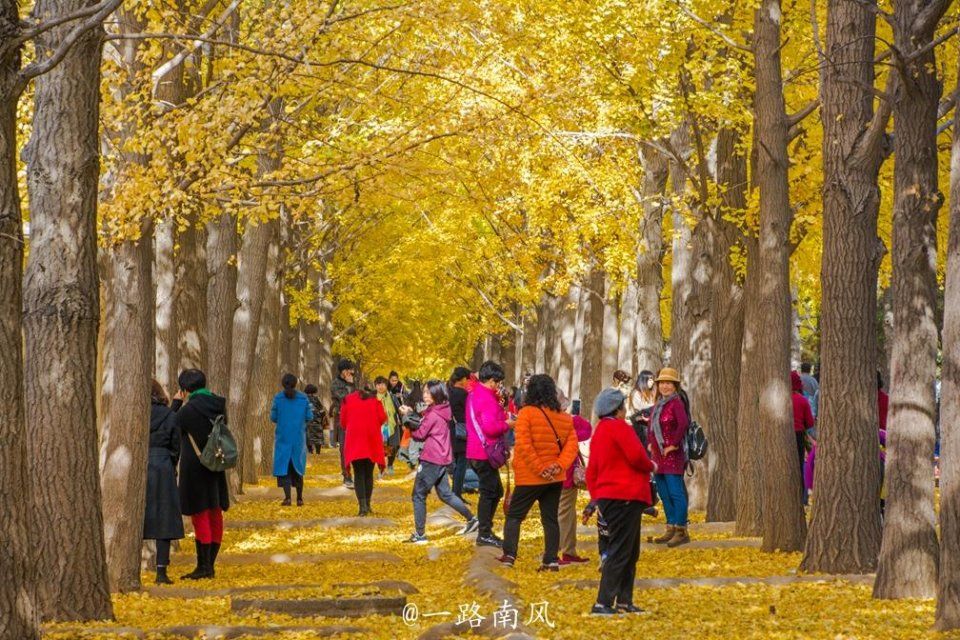 再过一个半月，国内这些地方将美成天堂!