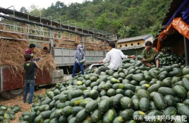 我国的这一决定，导致越南百万吨西瓜被滞留，越南民众需要赔偿