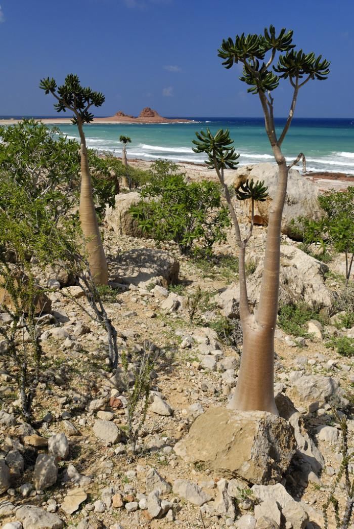 全球最奇葩的岛屿之一，看起来像外星球，岛民平均最少生5个孩子