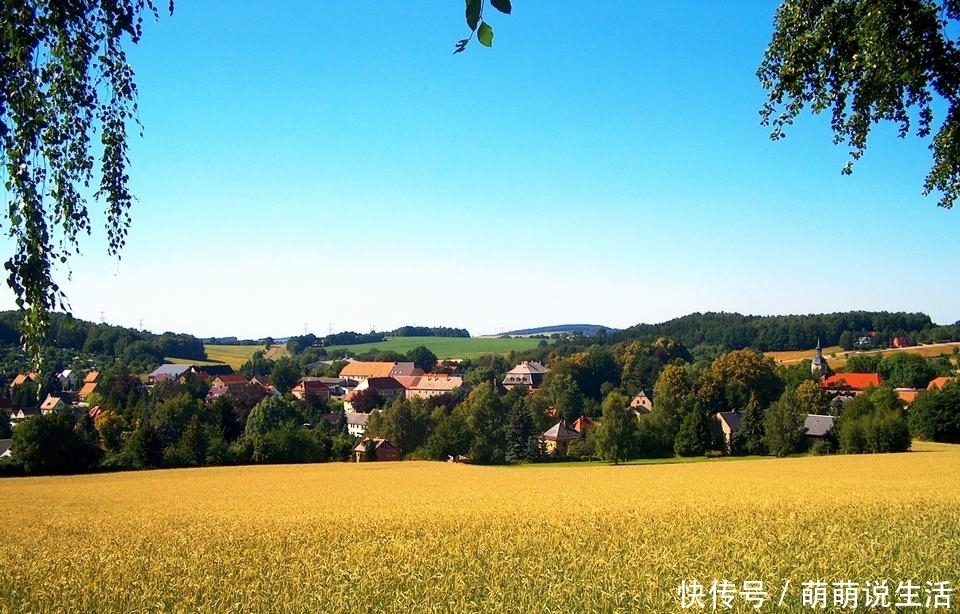  农村：农村打工的人增多，空着的房子怎么有效使用？专家给出了4