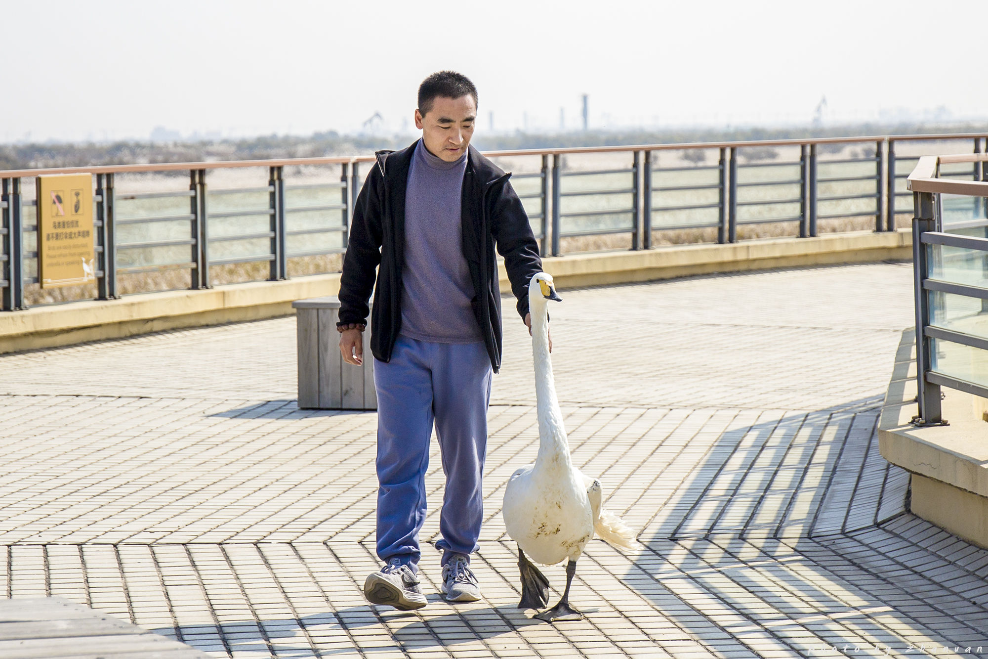 东营丨走过沧海桑田，终是在芦花飞雪的秋日遇见你