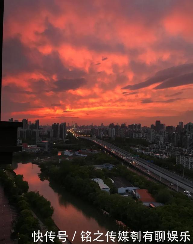平均气温大于22℃:昨天,上海因为它登上热搜!美到窒息……